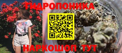 эйфоретик Будённовск