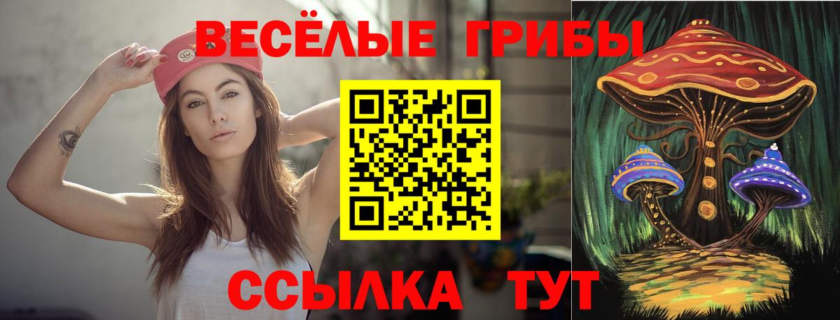 Псилоцибиновые грибы прущие грибы Среднеуральск