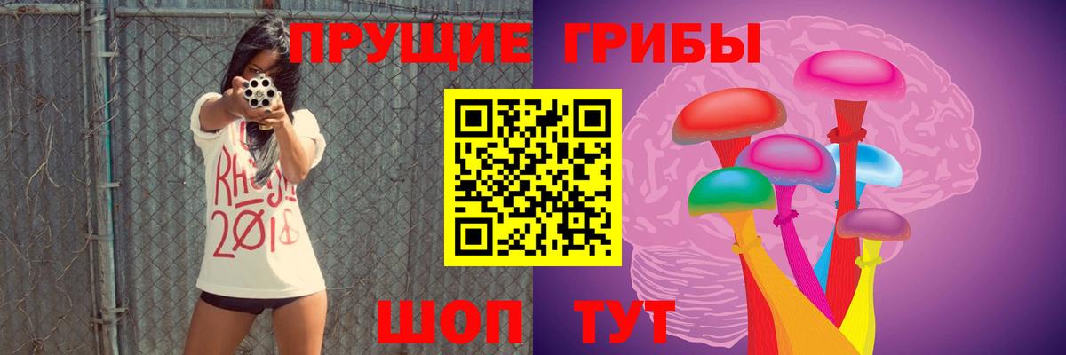 Галлюциногенные грибы прущие грибы  Псилоцибиновые грибы Psilocybine cubensis  Среднеуральск  Вход с VPN 